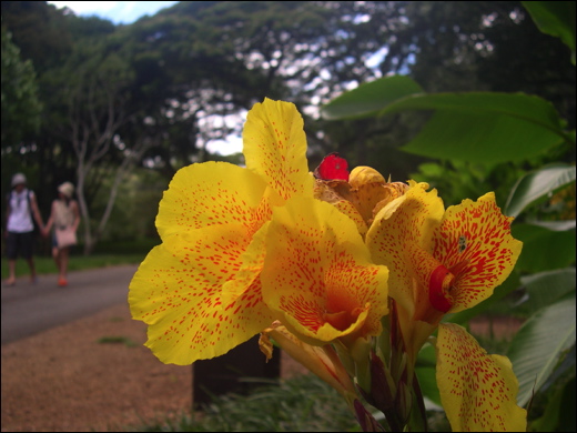 walk-in-waimea-087.jpg